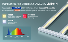 Load image into Gallery viewer, ViparSpectra® Newest KS3000 320W LED Grow Light