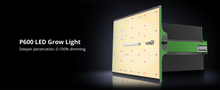 Load image into Gallery viewer, ViparSpectra® Updated P600 100W Full Spectrum Dimmable led Grow Light Cover 2x2ft